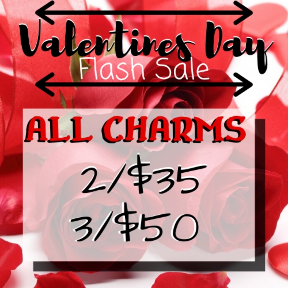 VALENTINES DAY STERLING SILVER CHARM SALE!